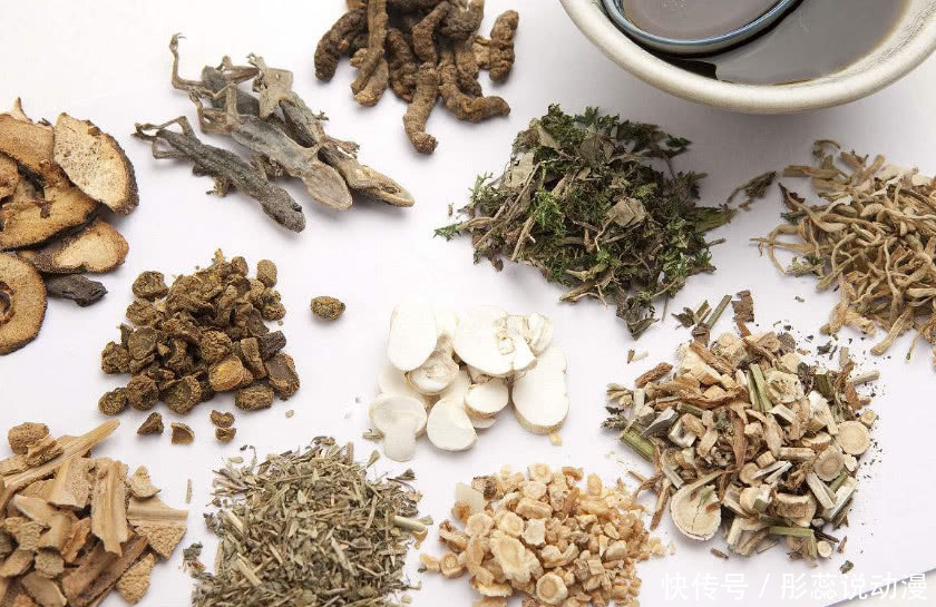 猪感冒怎么治?用偏方,简单有效!