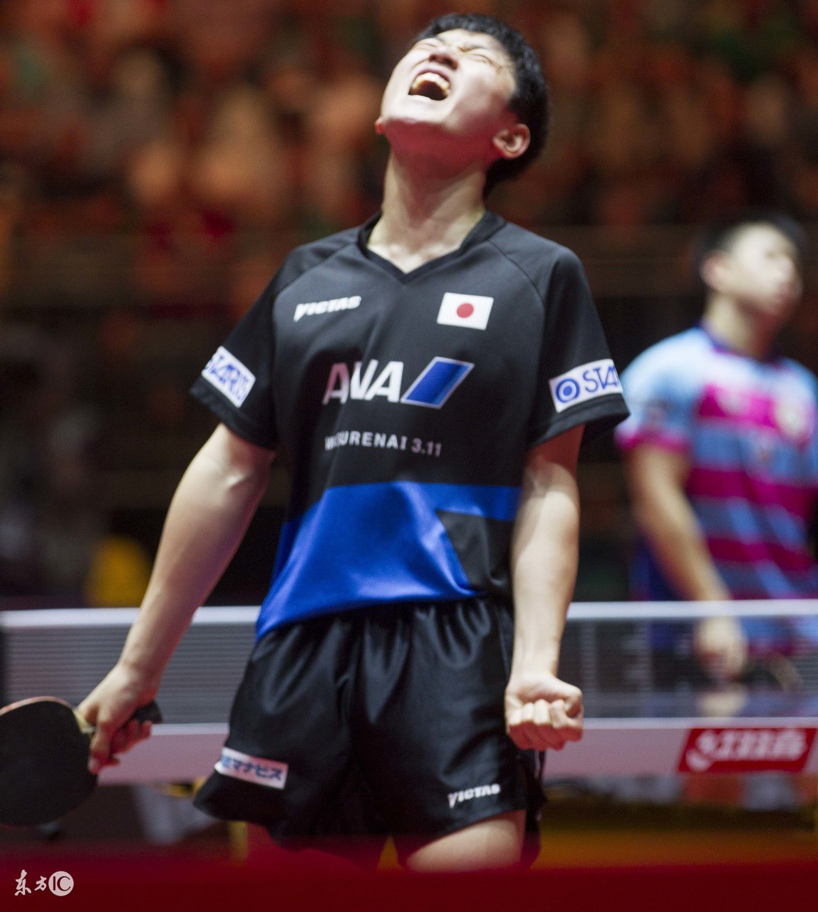 老瓦看重张本智和 曾亲自指导并预言张本时代