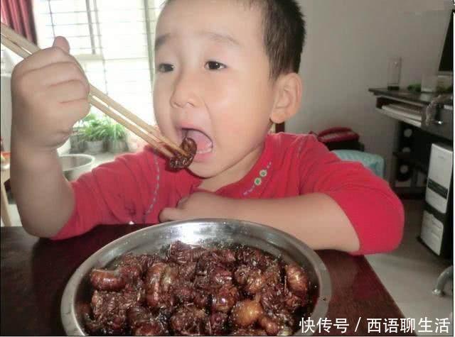 这东西比肉还贵，100多一斤！城里人当成宝，农村小孩当玩具！