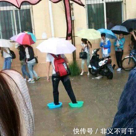 搞笑图片幽默段子笑话狗狗你帮主人打扫卫生呢