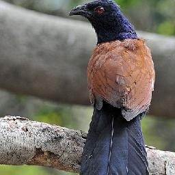 学霸带你听那些搞笑的电话对话录音