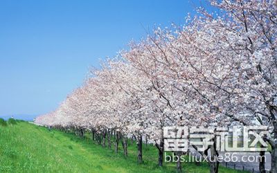 2018日本留学最新政策有哪些