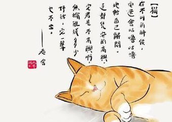 老舍的猫说课稿图片
