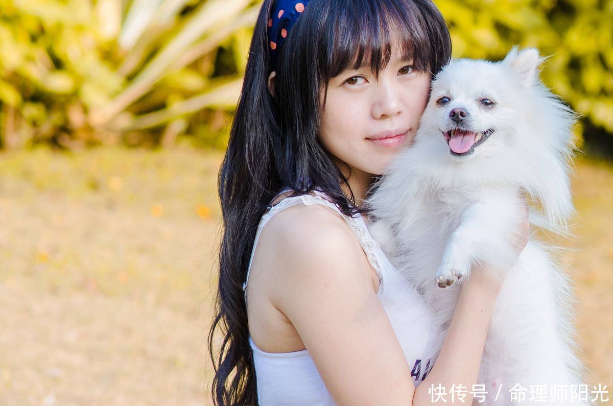 狗下半年活力四射,春光无限的生肖