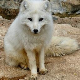 nine precent谁和谁关系好?范丞丞给蔡徐坤买鞋