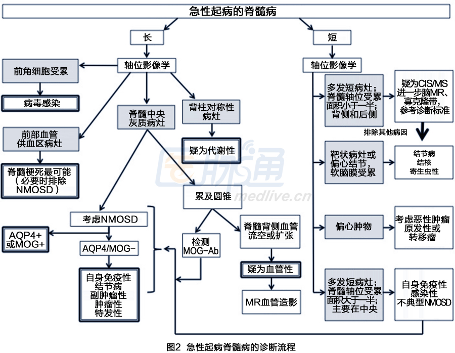 收藏!6张图表轻松掌握脊髓疾病鉴别诊断