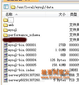 找到data目录。