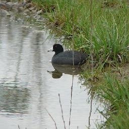 稚嫩的童音,欢快的节奏,这首儿歌在乘凉的夜晚