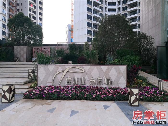深圳房价二十连跌背后:\"5000万蹲\"成热词 买房到底有多难?