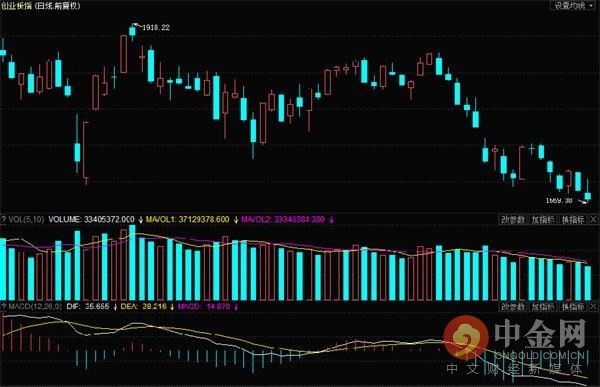 收评:沪指再创调整新低 重组概念一枝独秀