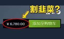 在steam上花6000多买的游戏究竟长啥样？