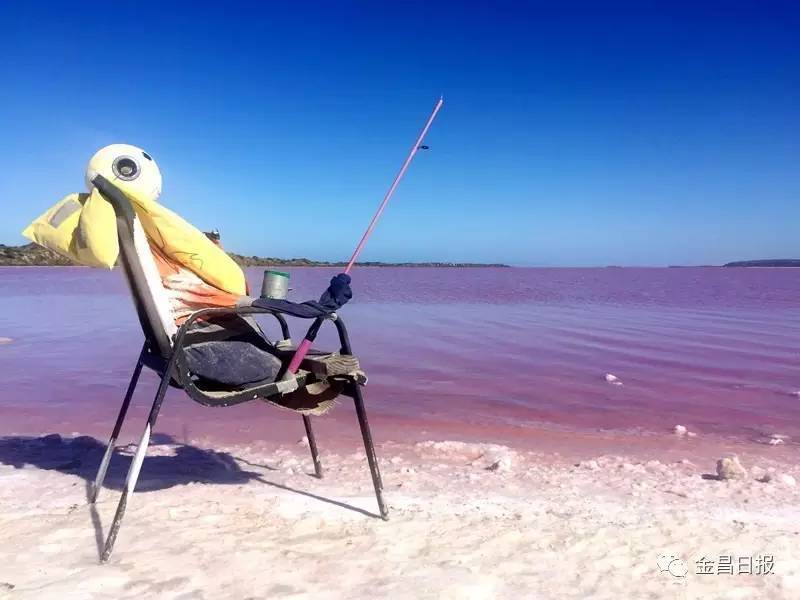 金昌姑娘李依晋在澳大利亚打工旅行的故事