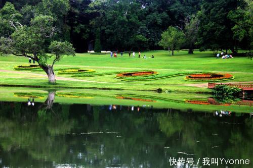 办理护照需要什么手续