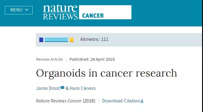 Nature综述:抗癌药研发新平台--类器官