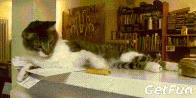 400_200gif 动态图 动图