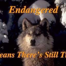 搬家党福利,PR如何去掉视频中的水印