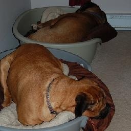 JOJO的奇妙冒险 Boss战力排行榜 TOP