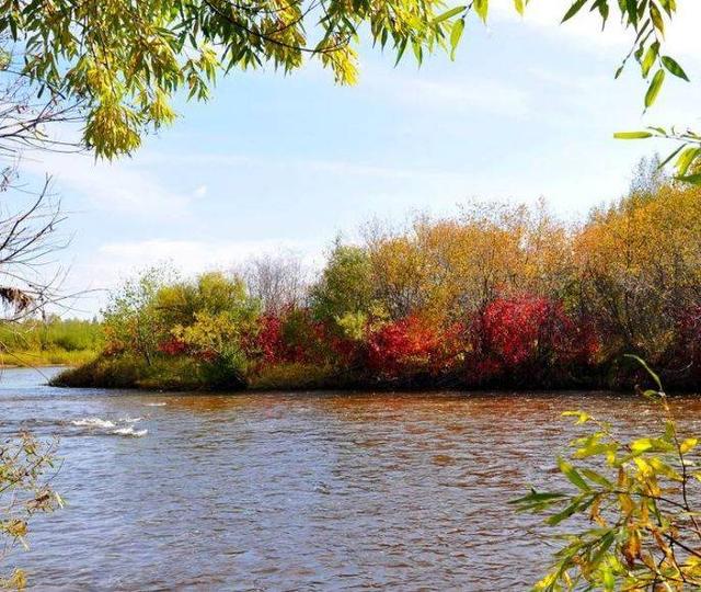 中国诗词大会飞花令