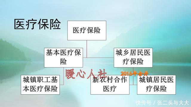 养老金个人和单位比例