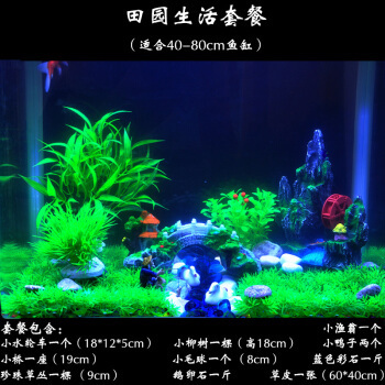 魚缸造景視頻欣賞（魚缸造景視頻欣賞教程）