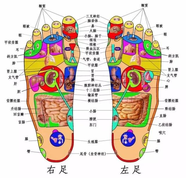 9点-10点高血压高发期,给你开个走路降压方!