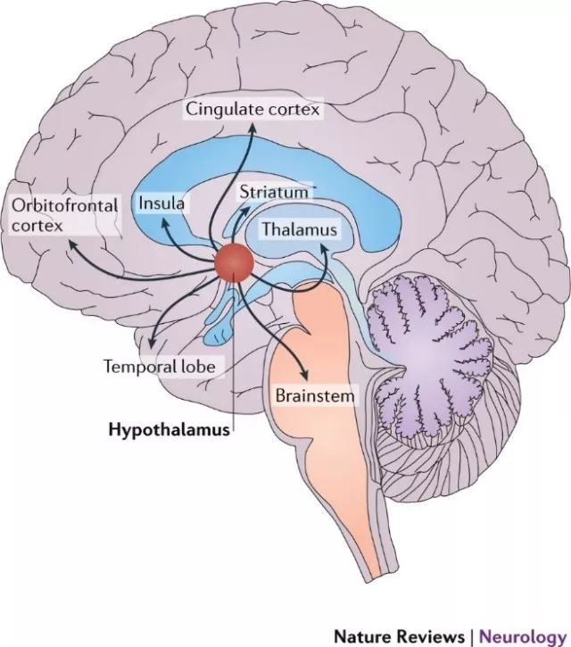 众里寻他千百度,那\"症\"却在灯火阑珊处