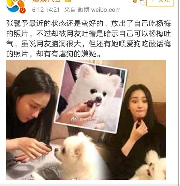 张馨予拿杨梅逗狗被痛骂,吓得她赶紧晒出这张照片