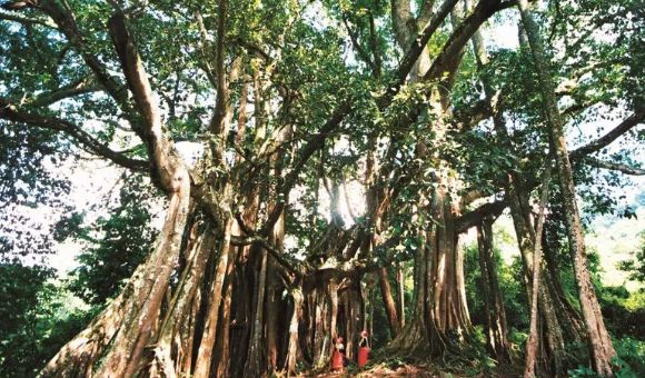 去了盈江才知道,这才叫生活!