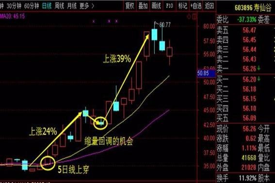 如何选出强势股龙头 t01774e24eb505c36ec.jpg?size=567x378