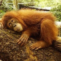 ost Malone 潜水互联网 OURDEN 中文字幕 这个