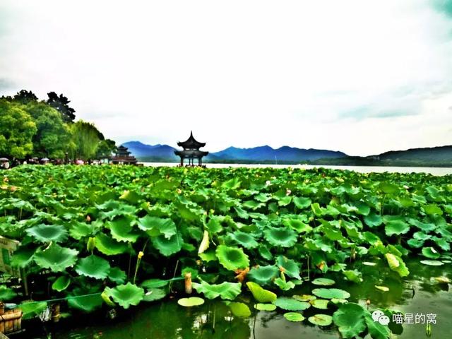 世界那么大,我想去看看--华东五市