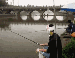 大哥都这样了就别钓鱼了,还是回去睡觉