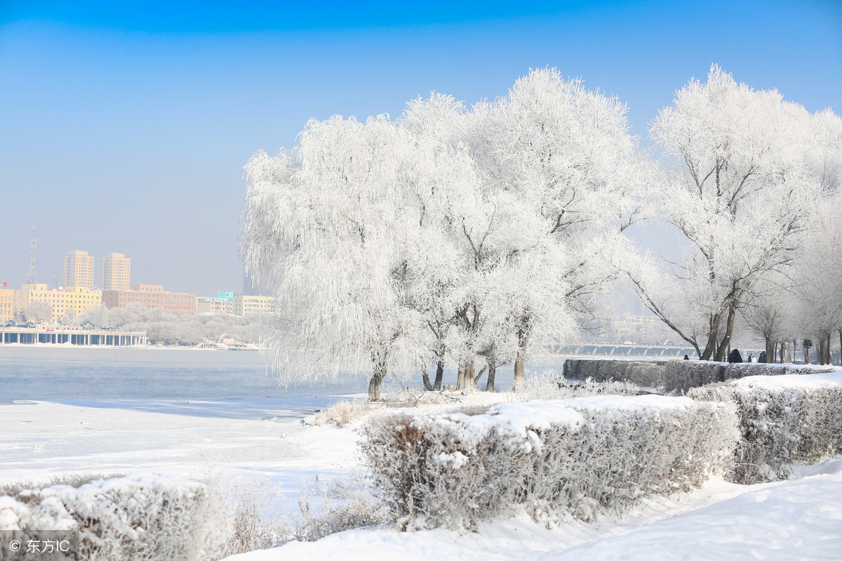 吉林雾凇岛,最美的雾凇景观