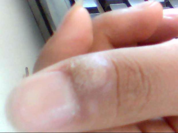 t01794b78be6551919f.jpg
