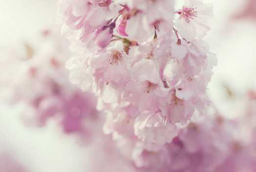 前世今生,快来测试一下你的前世桃花运是怎么