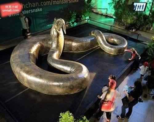 最大蛇类排行:第二名蛇吞象,第一大到难以想象!