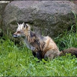 高逸峰《向天再借五百年》 中国达人秀