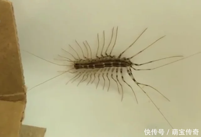 登录查看大图