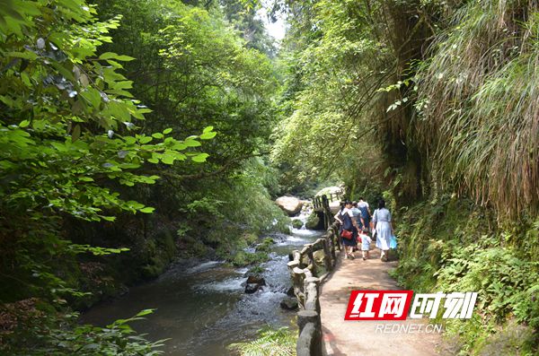 解暑奇美邵阳游·绥宁篇丨在曲幽谷，深林飞瀑和欢声笑语造就了最