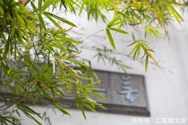 江浙沪又一网红打卡地!有轨电车穿过海棠花海,2元直达太湖