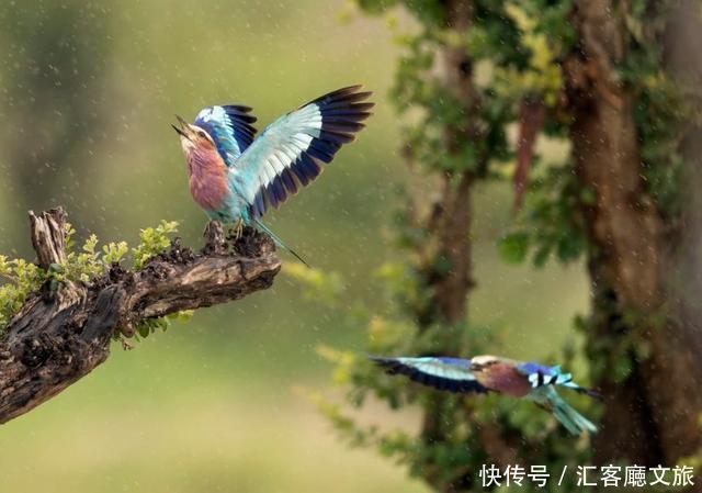 江一燕流连忘返的圣地，探险家的乐园，这个国度终于落地签啦！