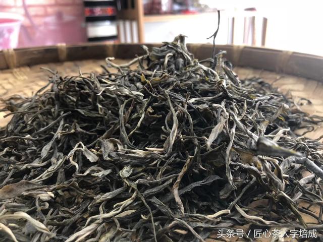 收藏貼:24款名山頭古樹開湯評測