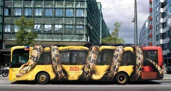 最大蛇类排行:第二名蛇吞象,第一大到难以想象!