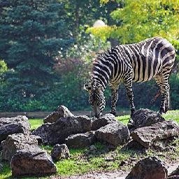 胡一菲那小皮鞭鞭的曾小贤最后那一声叫的好销