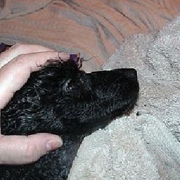 一首比最近火山流行较好听的英文歌 That Pop