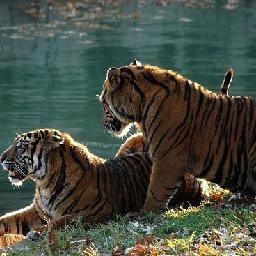 美女翻唱《离别的车站》比原唱好听100倍!