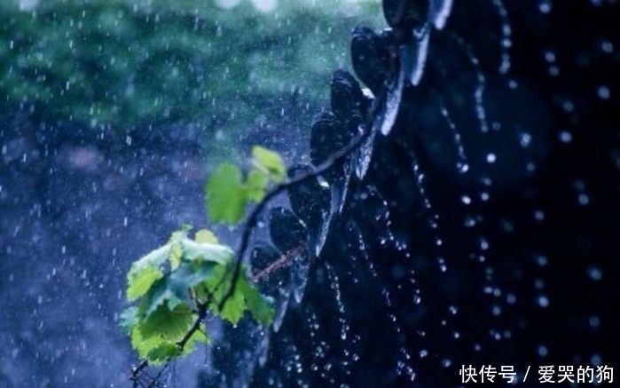 陆游一首写雨的诗,小楼一夜听春雨,深巷明朝卖