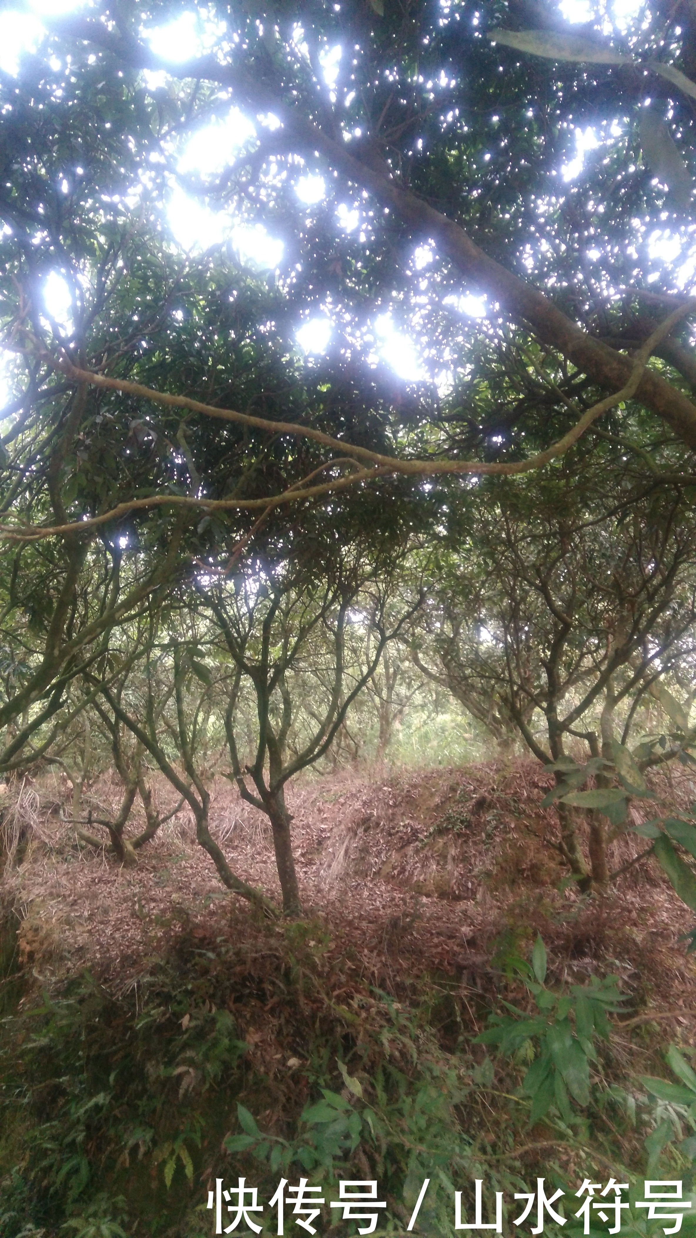 春节后的农田景象广西浦北县白石水