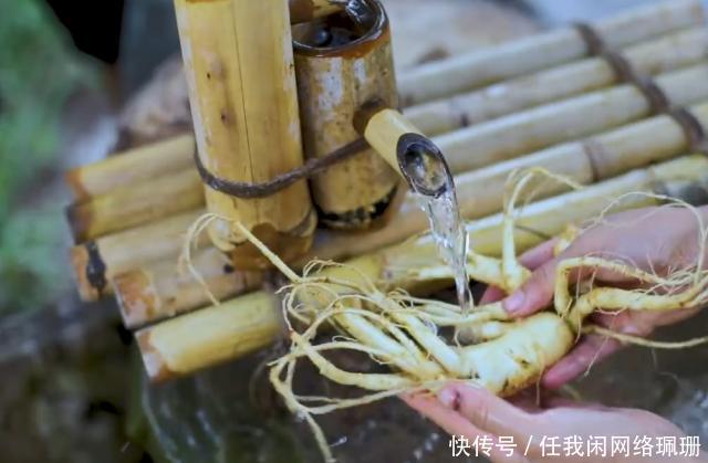 让李子传统不分享,山参柒v李子长白美食蜜,失传仓桥美食街直图片
