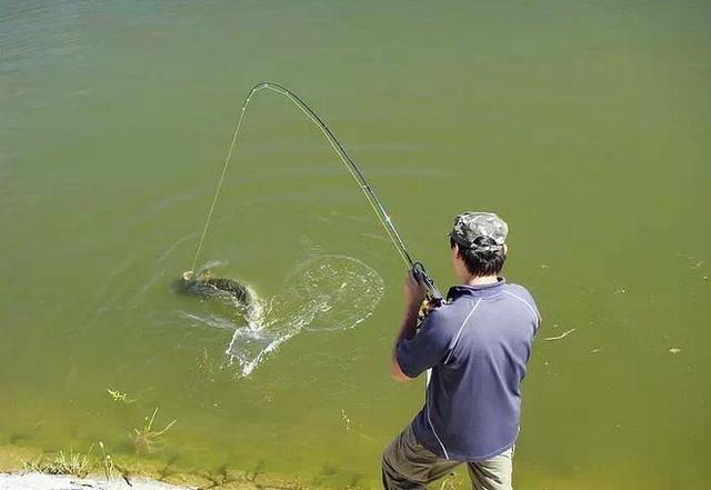 每位深陷网赌的人要有戒掉网赌的决心